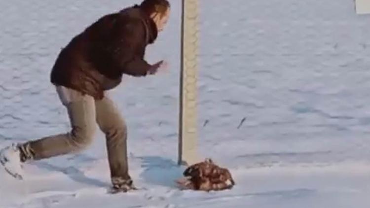 Karamanda yaralı kartalı bagaja koyup, polisten yardım istedi