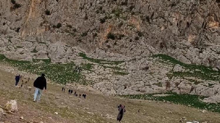 Koyunlarını kurtarmak isterken uçurumdan düşüp öldü