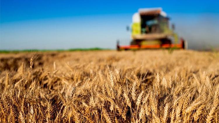 Kastamonu’ya 12 milyonluk tarım yatırımı