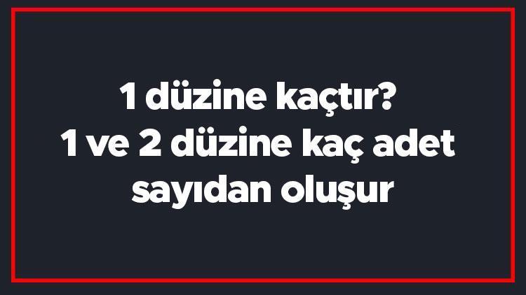 1 düzine kaçtır 1 ve 2 düzine kaç adet sayıdan oluşur