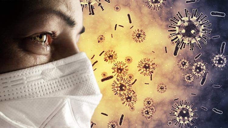İngilterede Lassa virüsü alarmı... Yıllar sonra ilk defa görüldü
