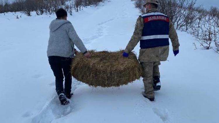 Gençte hayvanlar için doğaya yem bırakıldı