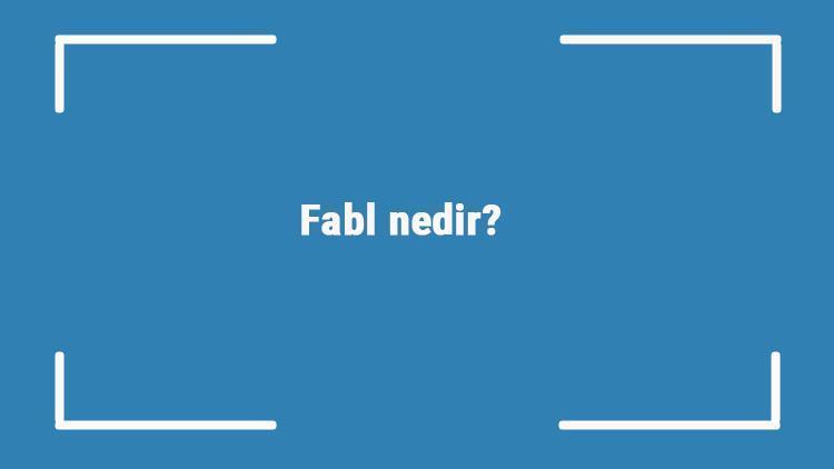 Fabl nedir Özelliklikleri nelerdir Fabl yazarları hakkında bilgiler