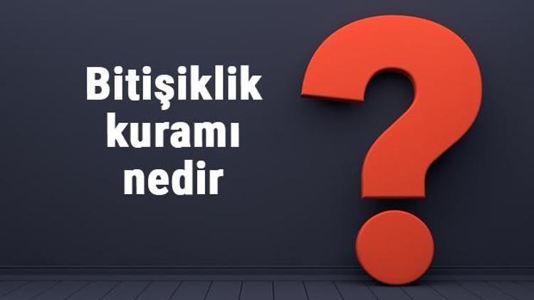 Bitişiklik kuramı nedir ve özellikleri nelerdir Bitişiklik kuramı örnekleri