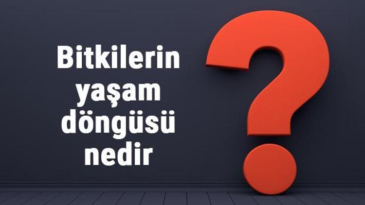 Bitkilerin yaşam döngüsü nedir Bitkilerin yaşam döngüsü evreleri ve aşamaları