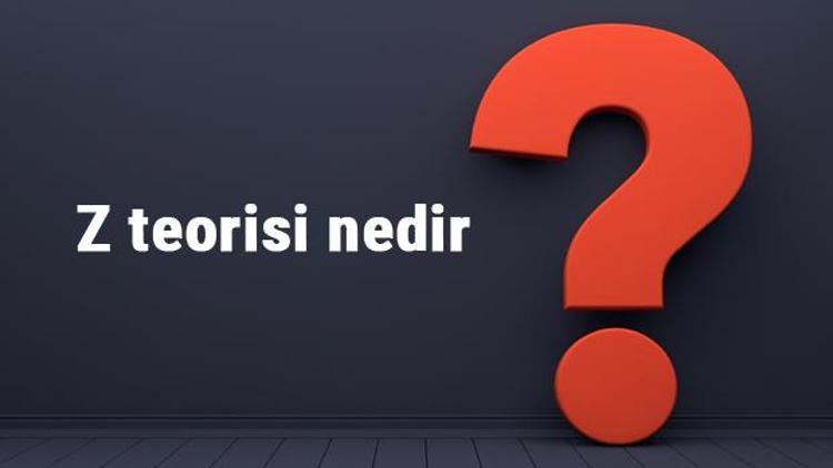 Z teorisi nedir ve kim tarafından ortaya atılmıştır Z teorisi örnekleri ve hakkında bilgiler