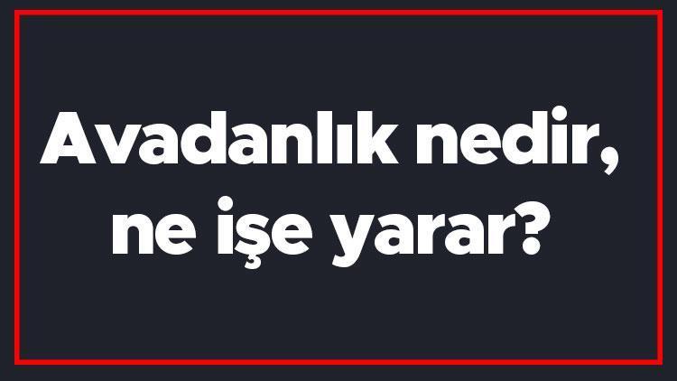 Avadanlık nedir, ne işe yarar Avadanlık kelimesi TDK sözlük anlamı