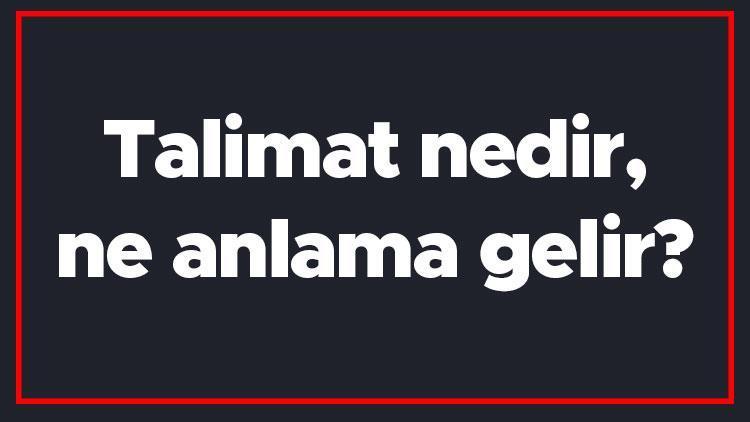 Talimat nedir, ne anlama gelir Talimat kelimesi TDK sözlük anlamı