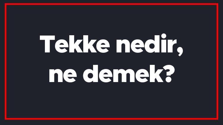 Tekke nedir, ne demek Tekke kelimesi TDK sözlükte ne anlama gelir