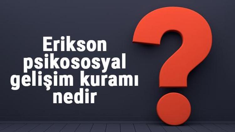 Erikson psikososyal gelişim kuramı nedir ve dönemleri nelerdir Psikososyal gelişim kuramı örnekleri ve temel kavramlar