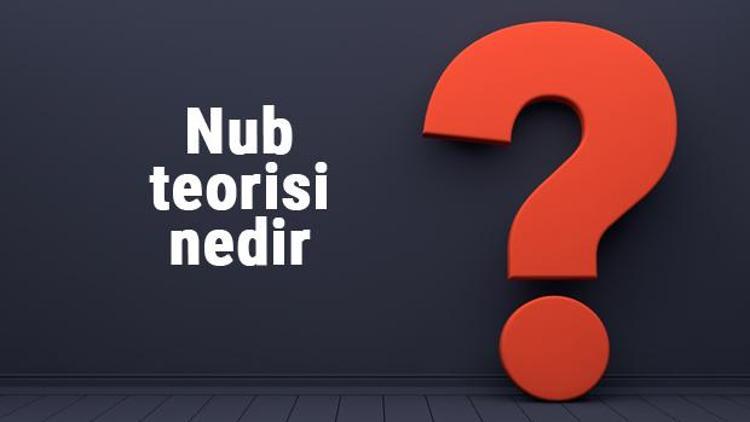 Nub teorisi nedir Bebeğin cinsiyetini öğrenmek için doğru sonuç verir mi