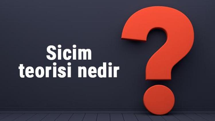 Sicim teorisi nedir ve kim buldu Sicim teorisi hakkında bilgiler