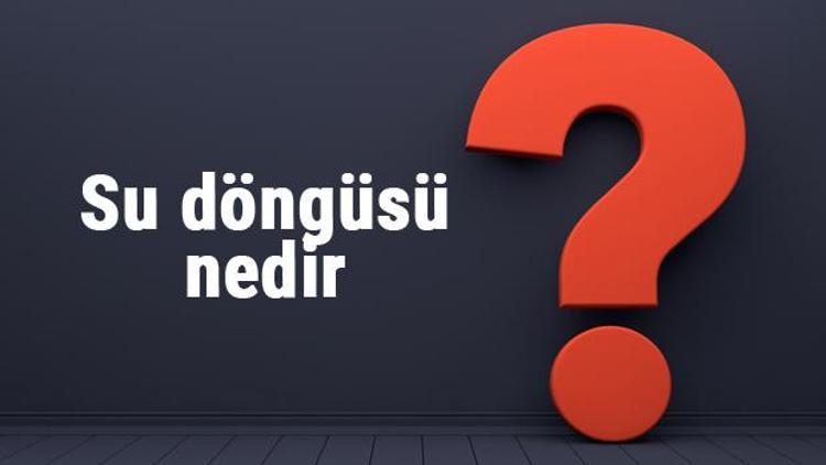 Su döngüsü nedir, nasıl gerçekleşir ve oluşur Su döngüsü aşamaları ve canlılar üzerindeki etkileri