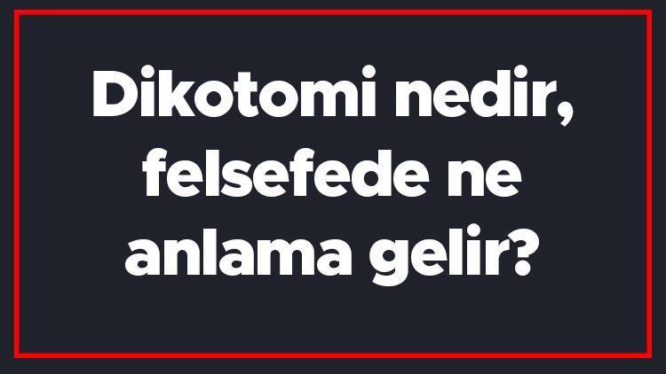 Dikotomi nedir, felsefede ne anlama gelir Dikotomi paradoksu kimin