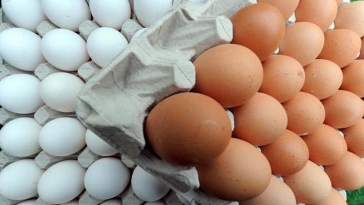 Ticaret Bakanlığından yumurta fiyatları açıklaması: Müfettiş görevlendirildi