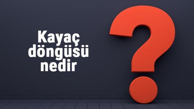 Kayaç döngüsü nedir ve nasıl gerçekleşir Kayaç döngüsü aşamaları ve örnekleri