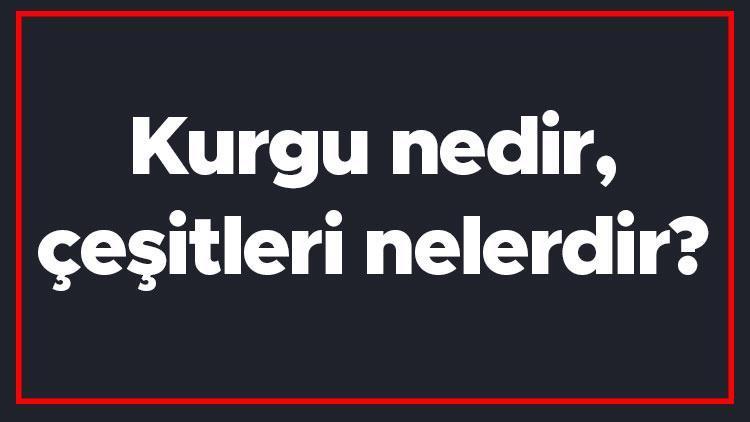 Kurgu nedir, çeşitleri nelerdir Kurgu nasıl yapılır