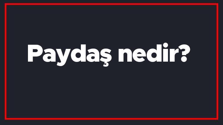 Paydaş nedir Paydaş analizi, tablosu ve matrisi nasıl yapılır