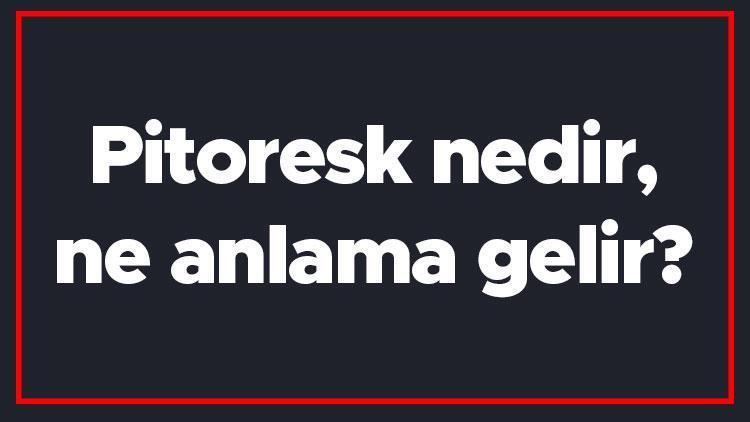 Pitoresk nedir, ne anlama gelir Pitoresk şiir ve roman örnekleri