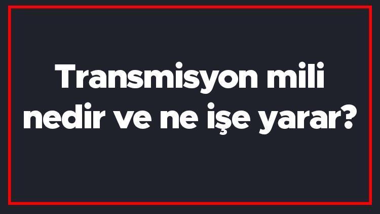 Transmisyon mili nedir ve ne işe yarar Transmisyon mili özellikleri ve kullanım alanları