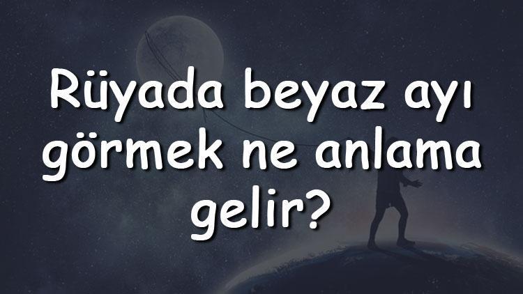 Rüyada beyaz ayı görmek ne anlama gelir? Rüyada beyaz ayı kovalaması ve saldırması tabiri