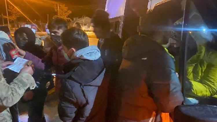Bitlis’te göçmen kaçakçılığına 11 gözaltı
