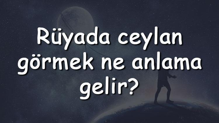 Rüyada ceylan görmek ne anlama gelir? Rüyada ceylan yakalamak ve kesmek tabiri