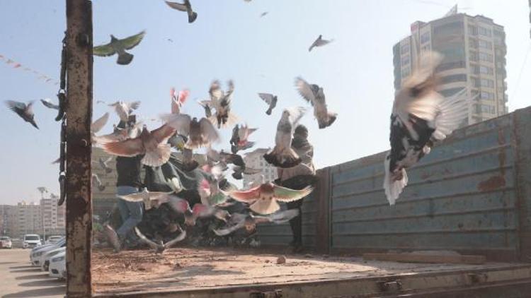 Ukrayna için Şanlıurfa’da, barış güvercinleri uçuruldu