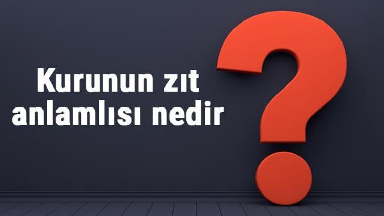 Kurunun zıt anlamlısı nedir Kuru kelimesi ve sözcüğünün zıt anlamlıları