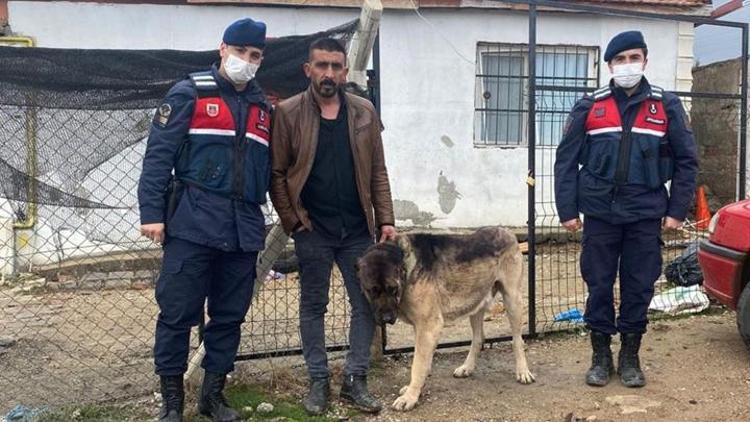 Tanınmaması için çaldığı köpeği siyaha boyadı