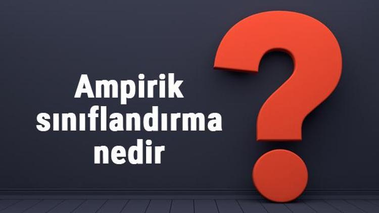 Ampirik sınıflandırma nedir, neye göre ve nasıl yapılır Ampirik sınıflandırma kriterleri ve örnekleri