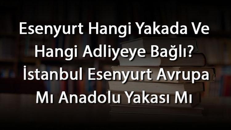 Esenyurt Hangi Yakada Ve Hangi Adliyeye Bağlı İstanbul Esenyurt Avrupa Mı Anadolu Yakası Mı