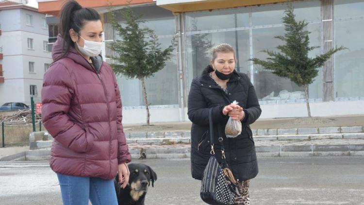 Komşuların köpek besleme kavgası