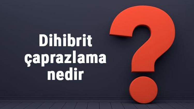 Dihibrit çaprazlama nedir, nasıl yapılır ve örnekleri nelerdir