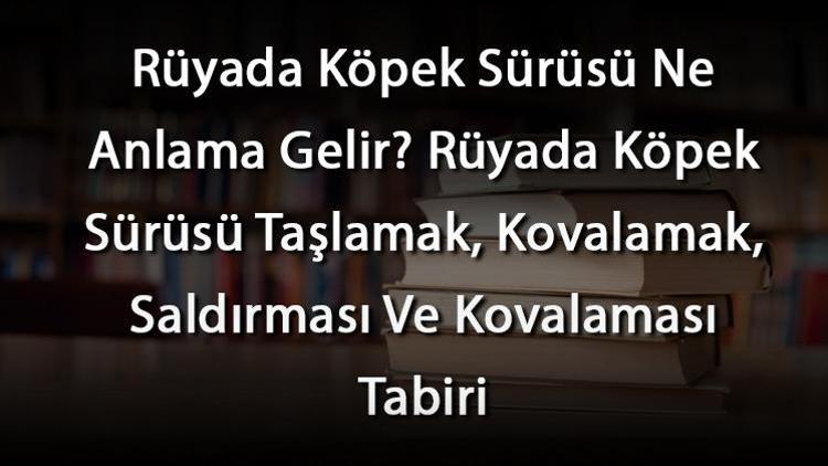 Rüyada Köpek Sürüsü Ne Anlama Gelir? Rüyada Köpek Sürüsü Taşlamak, Kovalamak, Saldırması Ve Kovalaması Tabiri