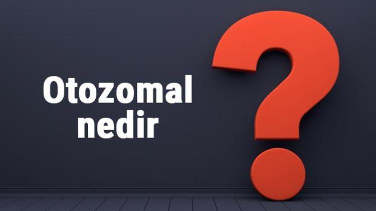 Otozomal nedir Otozomal baskın ne demek