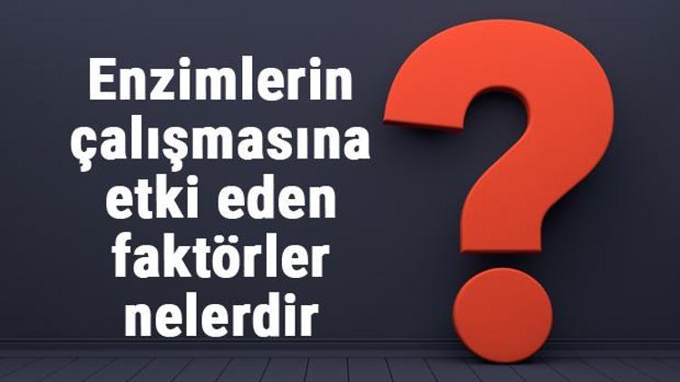 Enzimlerin çalışmasına etki eden faktörler nelerdir (maddeler halinde)