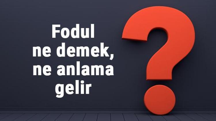 Fodul ne demek, ne anlama gelir? Fodul sözlük anlamı nereden gelir? (TDK)