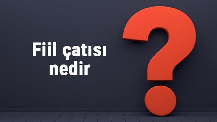 Fiil çatısı nedir Fiillerde çatı konu anlatımı