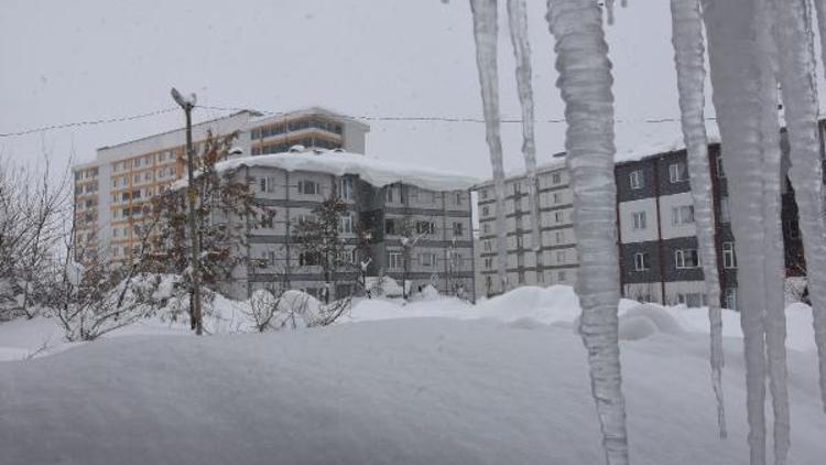 Bitliste kar yağışı devam ediyor, 248 yol ulaşıma kapandı