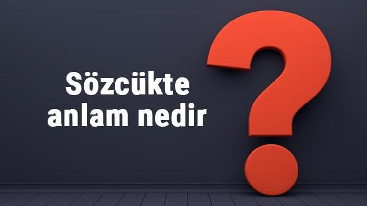 Sözcükte anlam nedir Kelimede anlam konu anlatımı