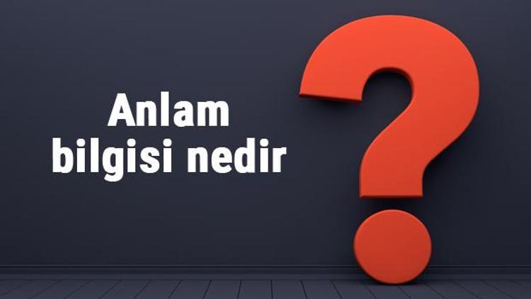 Anlam bilgisi nedir Anlam bilgisi konu anlatımı