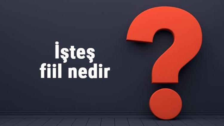 İşteş fiil nedir İşteş fiil örnekleri ile konu anlatımı