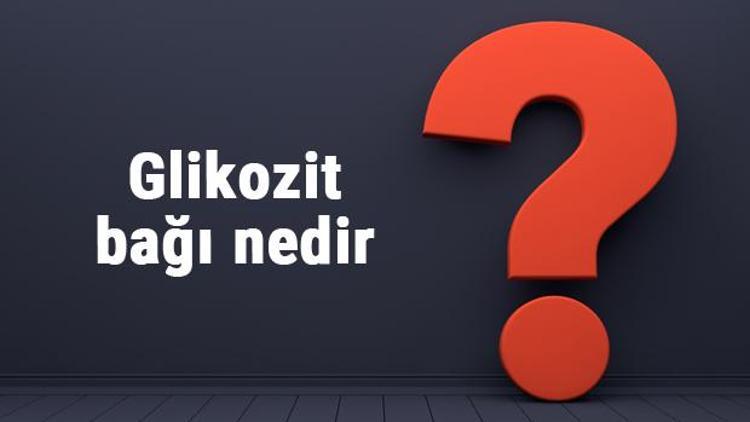 Glikozit bağı nedir, nerede ve nelerde bulunur Glikozit bağı bulunduran moleküller