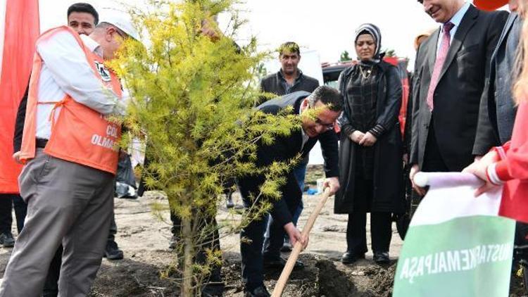 Mustafakemalpaşa’da Bal Ormanı’na 15 bin fidan dikildi