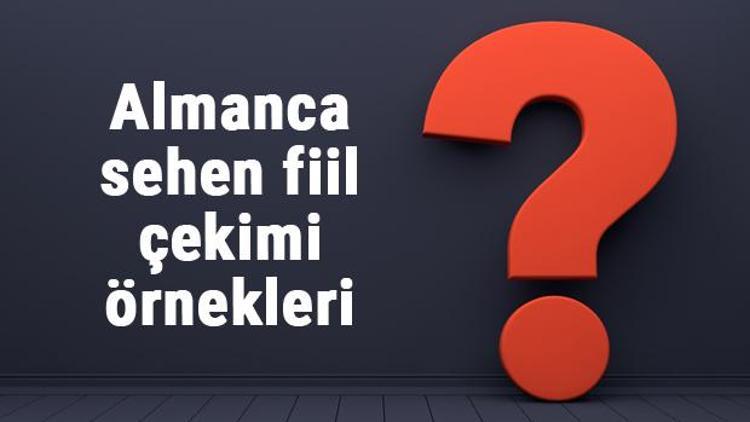 Almanca sehen fiil çekimi örnekleri ile konu anlatımı