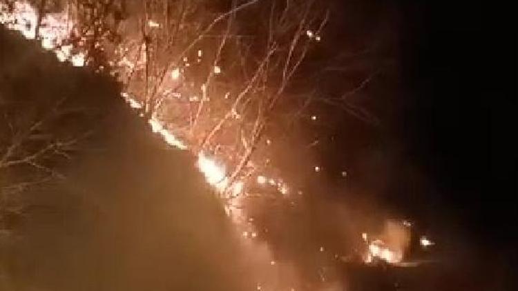 Osmaniyedeki orman yangın kontrol altına alındı: 1 hektar alan zarar gördü
