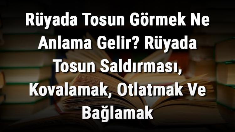 Rüyada Tosun Görmek Ne Anlama Gelir Rüyada Tosun Saldırması, Kovalamak, Otlatmak Ve Bağlamak