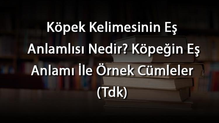 Köpek Kelimesinin Eş Anlamlısı Nedir Köpeğin Eş Anlamı İle Örnek Cümleler (Tdk)