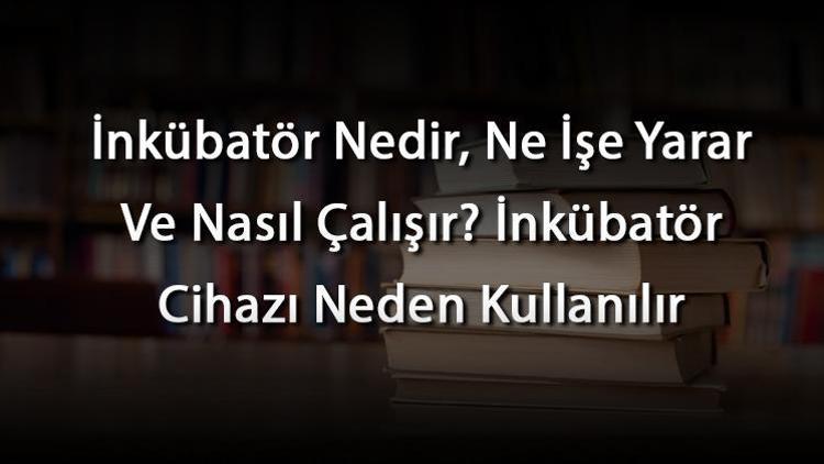 İnkübatör Nedir, Ne İşe Yarar Ve Nasıl Çalışır İnkübatör Cihazı Neden Kullanılır